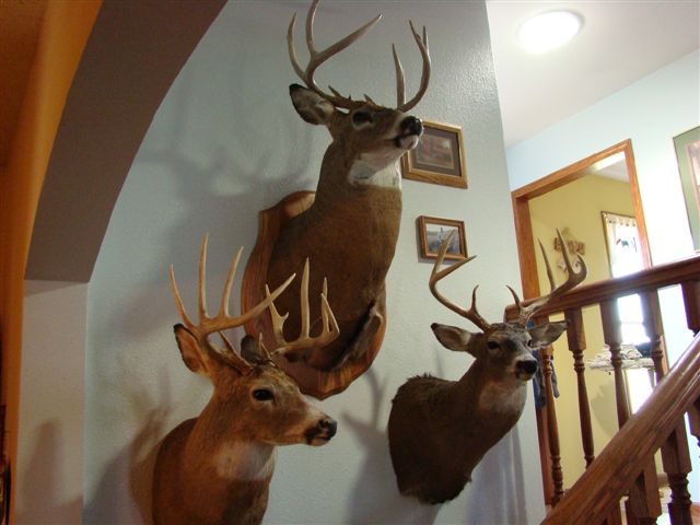 img/fun/Hunting/DSC01742.JPG