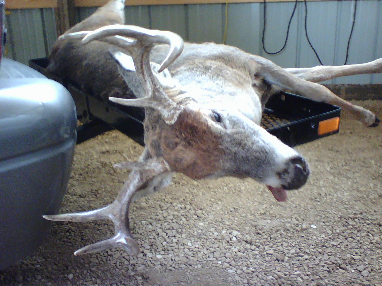 img/fun/Hunting/IL_GUN_2007_1.jpg