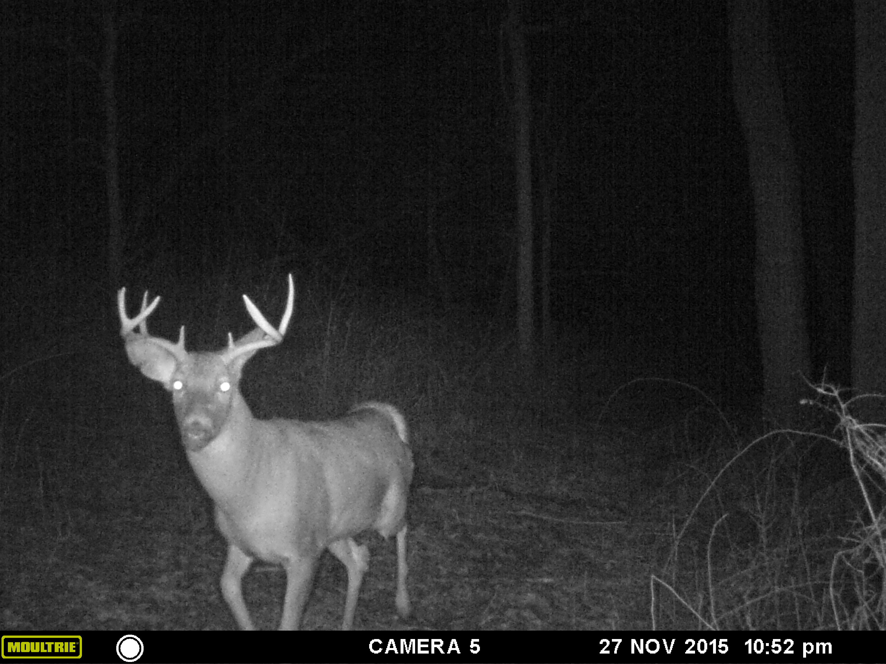 img/fun/Hunting/MFDC0347.JPG