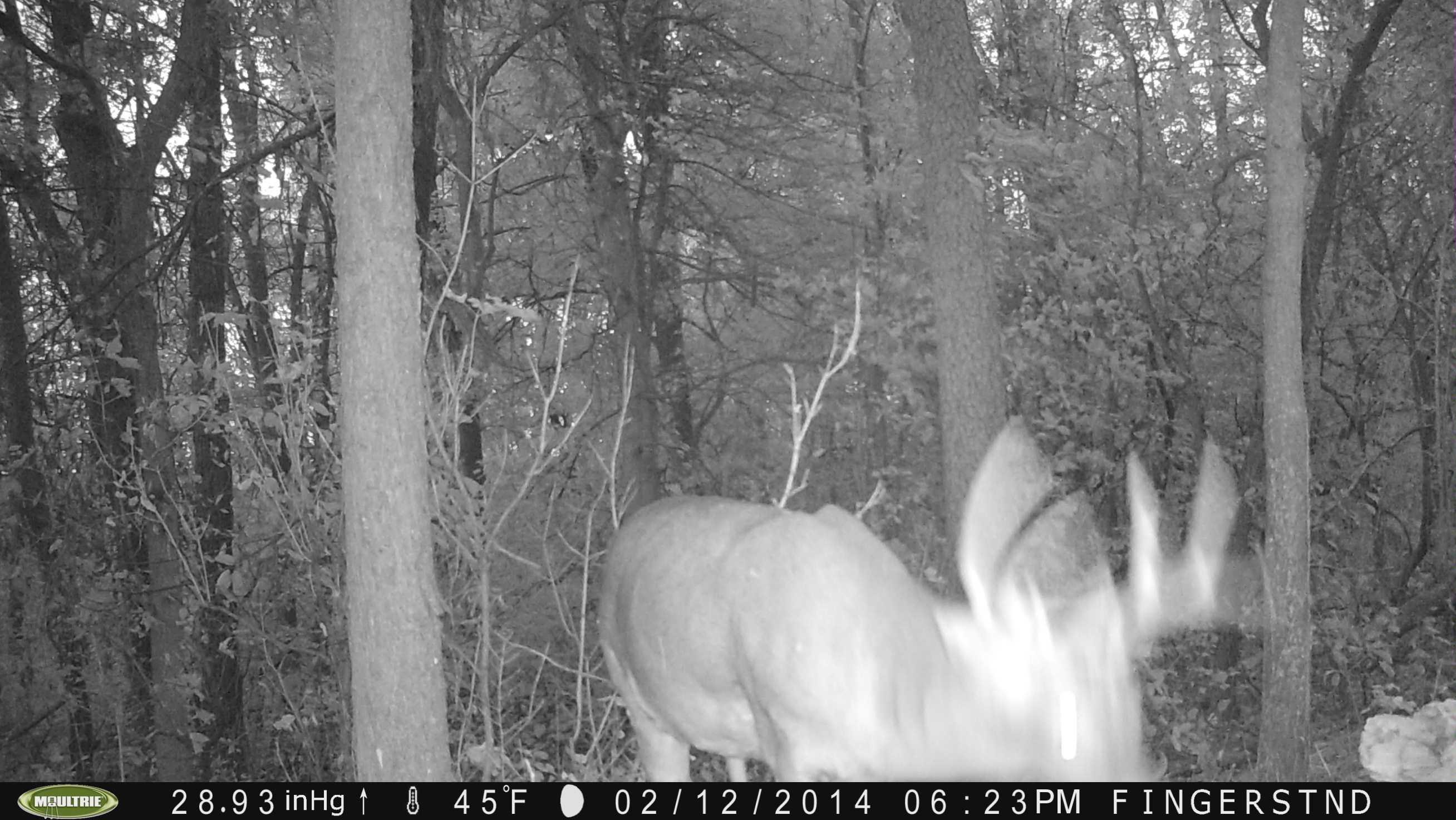 img/fun/Hunting/PICT0020.JPG