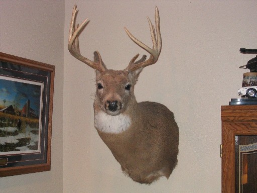 img/fun/Hunting/Terrys_2001_Mount.JPG