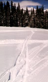 img/fun/Skiing/copper_1999c.jpg